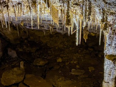 Güney Avustralya 'daki Naracoorte Mağaraları. Yüksek kalite fotoğraf