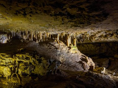 Güney Avustralya 'daki Naracoorte Mağaraları. Yüksek kalite fotoğraf