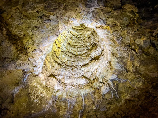 南澳大利亚Naracoorte洞穴 高质量的照片 — 图库照片