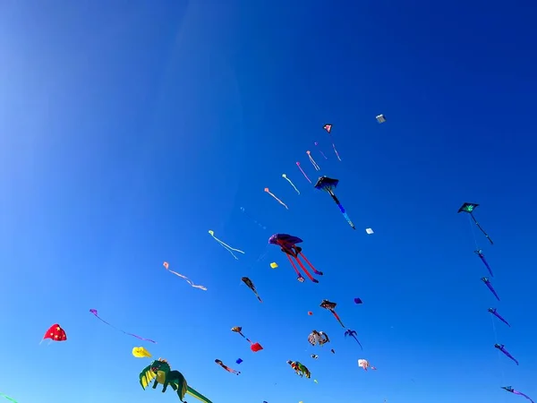 Adelaide International Kite Festival 약자이다 고품질 오스트레일리아 애들레이드 2023 — 스톡 사진