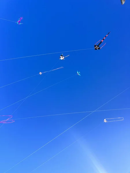 Adelaide International Kite Festival Högkvalitativt Foto Adelaide Australien Mars 2023 — Stockfoto