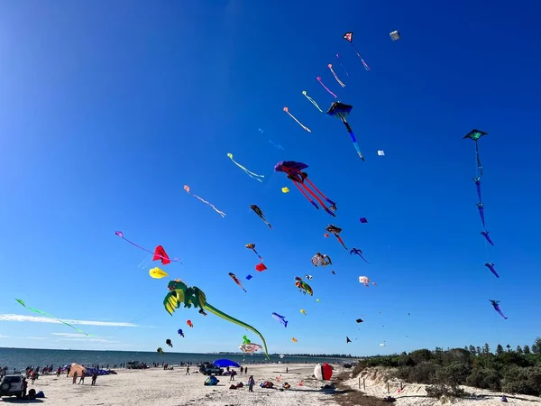 Adelaide International Kite Festival Foto Alta Qualidade Adelaide Austrália Março — Fotografia de Stock