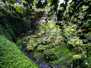 Güney Avustralya 'daki Gambier Dağı' ndaki Umpherston subatanı. Yüksek kalite fotoğraf