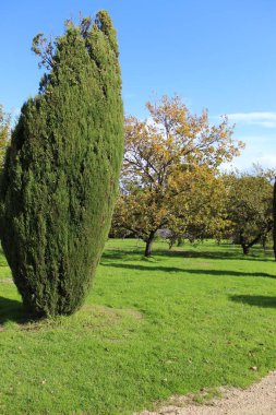 Carrick Hill Malikanesi, Adelaide. Yüksek kalite fotoğraf