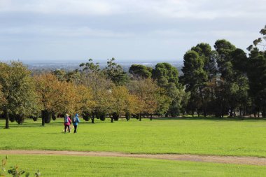 Elinde baston ve gülümseyen yaşlı adam bahçede dinleniyor. Yüksek kalite fotoğraf