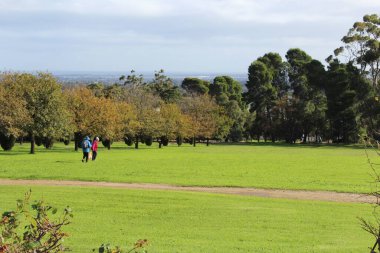 Elinde baston ve gülümseyen yaşlı adam bahçede dinleniyor. Yüksek kalite fotoğraf