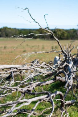 Avustralya 'nın taşra yolu. Yüksek kalite fotoğraf