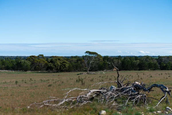 Зовнішня Дорога Австралії Високоякісна Фотографія — стокове фото