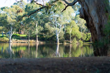 Carrick Hill estate, Adelaide. High quality photo
