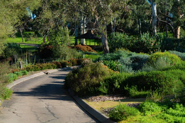 Carrick Hill Landgoed Adelaide Hoge Kwaliteit Foto — Stockfoto