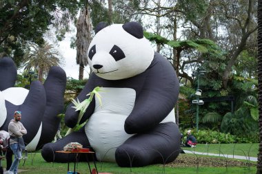 Oyun alanında oturan bir pandanın portresi. Yüksek kalite fotoğraf