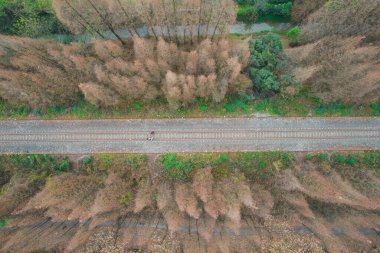 Dujiangyan porselenlerinde manzara. Yüksek kalite fotoğraf