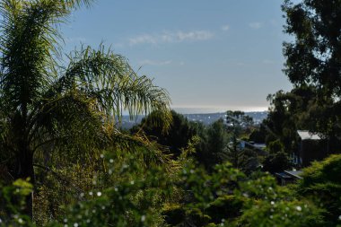 Okyanus manzaralı güzel bir süit. Yüksek kalite fotoğraf