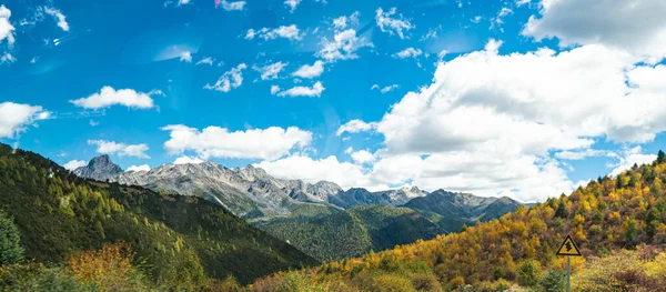 Górski Jesienny Krajobraz Kolorowym Lasem Wysokiej Jakości Zdjęcie — Zdjęcie stockowe