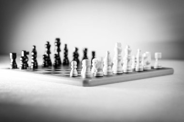 Satranç tahtasının üzerinde iki satranç takımı var. Beyaz arka planda izole edilmiş. Yüksek kalite fotoğraf