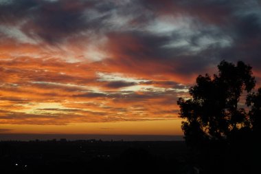 Sahile yakın bir yerde. Yüksek kalite fotoğraf. Yüksek kalite fotoğraf