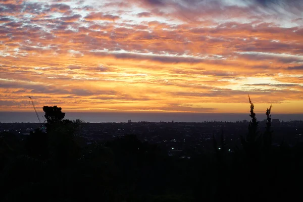 Sahile yakın bir yerde. Yüksek kalite fotoğraf. Yüksek kalite fotoğraf