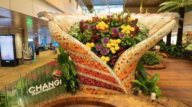 SINGAPORE - CIRCA AUGust, 2016: Singapur Changi Havaalanı 'nın içinde... yüksek kaliteli fotoğraf