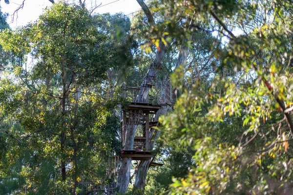 Uma Escada Corda Para Subir Parque Diversões Corda Verão Vista — Fotografia de Stock
