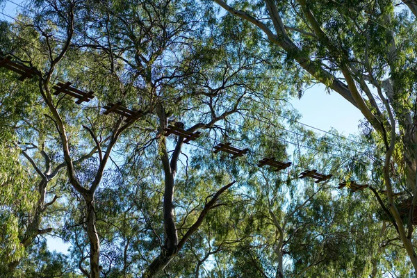 Provazový Žebřík Pro Lezení Letním Lanovém Zábavním Parku Spodní Pohled — Stock fotografie
