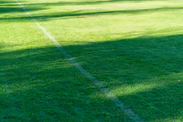 Enfoque Selectivo Las Líneas Blancas Campos Fútbol Hierba Verde Foto —  Fotos de Stock