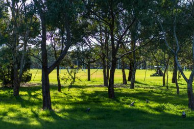 Modern bahçedeki yeşil çimlerde çim biçme makinesi. Çim biçme makinesi. Yüksek kalite fotoğraf