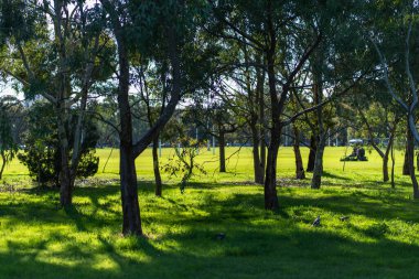 Modern bahçedeki yeşil çimlerde çim biçme makinesi. Çim biçme makinesi. Yüksek kalite fotoğraf