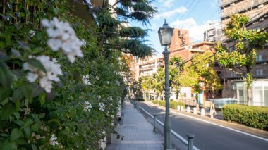 Kyoto Japonya 'daki Japon evi. Yüksek kalite fotoğraf
