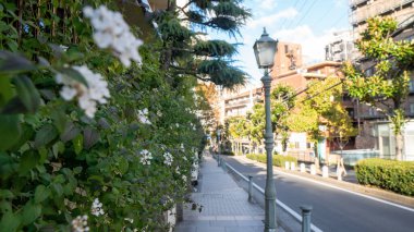 Kyoto Japonya 'daki Japon evi. Yüksek kalite fotoğraf