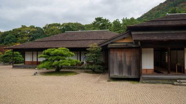 Tokyo Japonya 'da gölü olan eski bir Japon bahçesi. Yüksek kalite fotoğraf