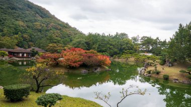 Tokyo Japonya 'da gölü olan eski bir Japon bahçesi. Yüksek kalite fotoğraf