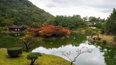 Tokyo Japonya 'da gölü olan eski bir Japon bahçesi. Yüksek kalite fotoğraf