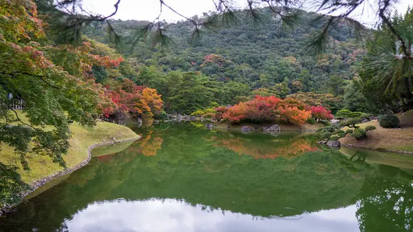 Αρχαίος Ιαπωνικός Κήπος Μια Λίμνη Στο Τόκιο Της Ιαπωνίας Υψηλής — Φωτογραφία Αρχείου