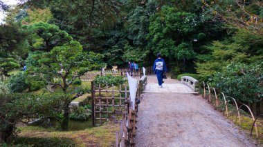 Tokyo 'da eski bir Japon bahçesinde köprüde yürüyen Kimono giyen bir kadın. Yüksek kalite fotoğraf