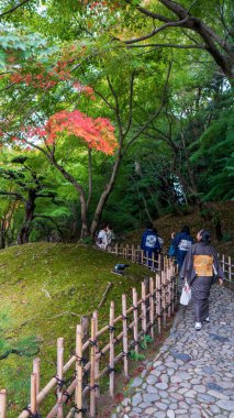 Tokyo 'da eski bir Japon bahçesinde köprüde yürüyen Kimono giyen bir kadın. Yüksek kalite fotoğraf