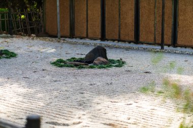 Japonya 'nın Kyoto kentindeki Myoshin-ji Tapınağı' ndaki Taizo-in Tapınağı 'ndaki kuru arazi dalgalanmaları. Yüksek kalite fotoğraf