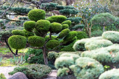 japanese landscape - takedera - hokokuji - kamakura - kanagawa. High quality photo clipart