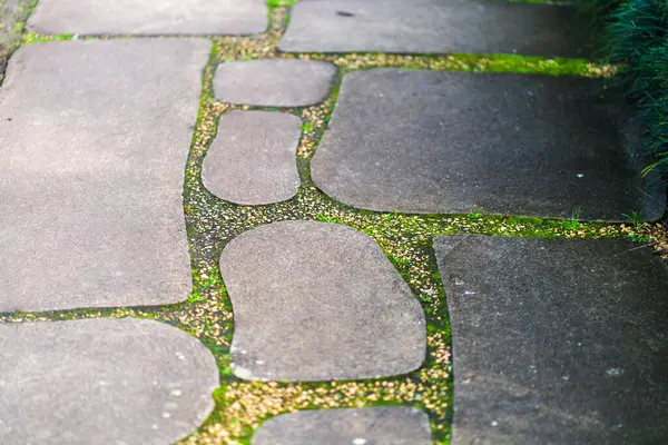 日本庭園 香川の禅石道 高品質の写真 — ストック写真