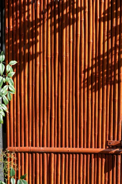 Vista Dentro Jardim Japonês Kyoto Foto Alta Qualidade — Fotografia de Stock