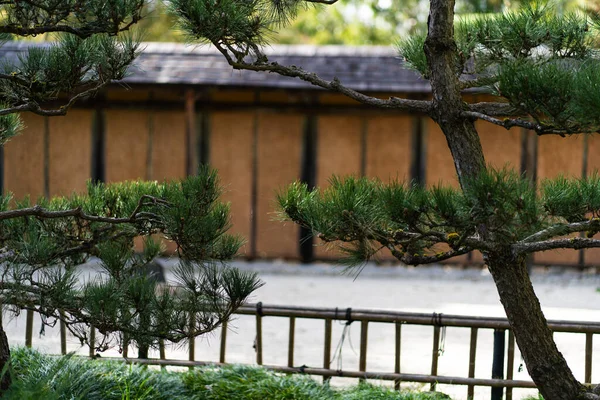 stock image Ripple pattern of dry landscape garden at Taizo-in Temple, Myoshin-ji Temple in Kyoto, Japan. High quality photo