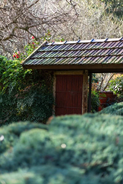 Вид Изнутри Японский Сад Киото Высокое Качество Фото — стоковое фото