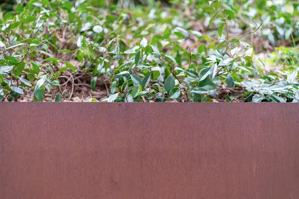 정원에 식물은 표지로 벽지를 고품질 — 스톡 사진