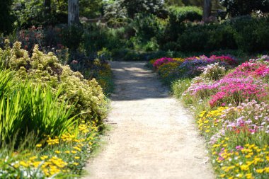 Bereketli yeşil botanik bahçesi - çiçek açan bahar çiçekleri ve çimen yolu. Yüksek kalite fotoğraf