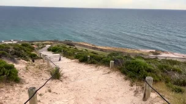 Ondas Mar Loop Sem Costura Praia Caminhe Uma Praia Areia — Vídeo de Stock