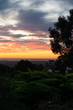 Sahile yakın bir yerde. Yüksek kalite fotoğraf. Yüksek kalite fotoğraf. Yüksek kalite fotoğraf