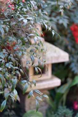 Bir tapınağın çevresindeki eski bir taş fener. Yüksek kalite fotoğraf