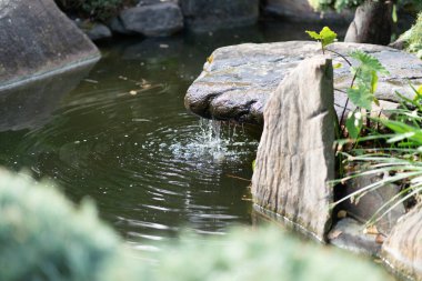 Japon bahçesindeki gölet. Yüksek kalite fotoğraf