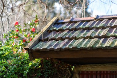 Kyoto 'daki Japon bahçesinin içerisinden bak. Yüksek kalite fotoğraf