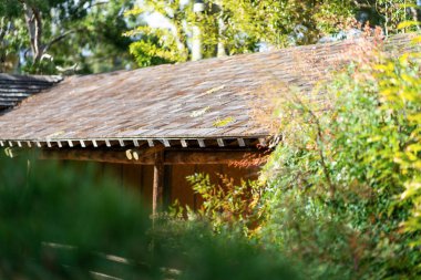 Ejderha şekilli fayanslı Japon çatısı. Yüksek kalite fotoğraf