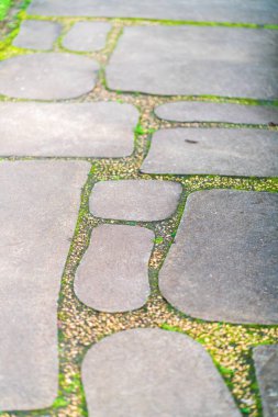 Japonya 'da Takamatsu, Kagawa' da bir Japon bahçesinde Zen taşından bir patika. Yüksek kalite fotoğraf